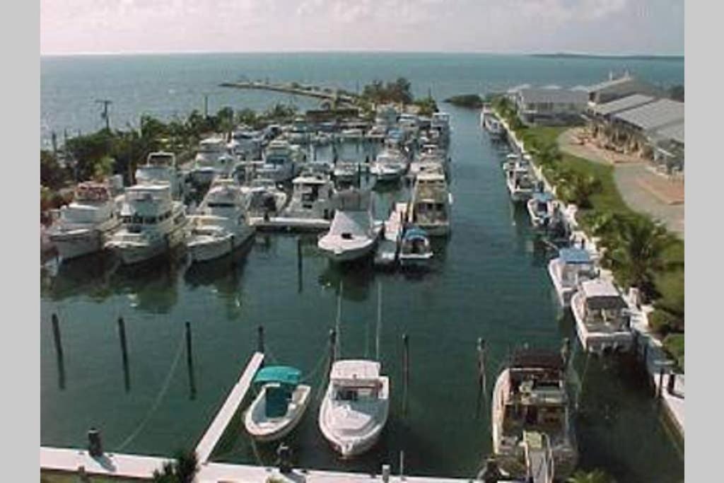 Licensed Mgr - 2/2 Villa - Oceanfront Beach Resort - Saltwater Lagoon & Marina! คีย์ลาร์โก ภายนอก รูปภาพ